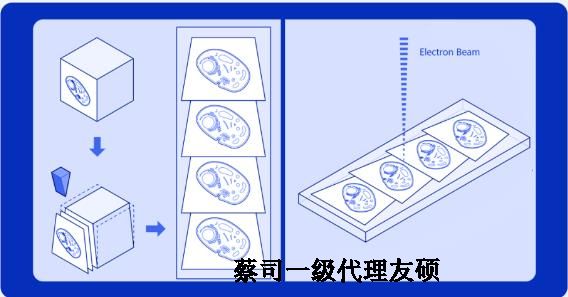 河东蔡司河东扫描电镜