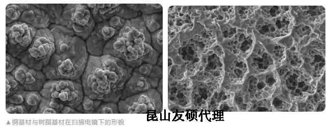 河东蔡司河东扫描电镜