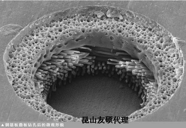 河东蔡司河东扫描电镜